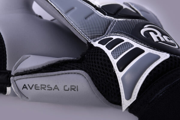 Aversa Gri - imagine 11