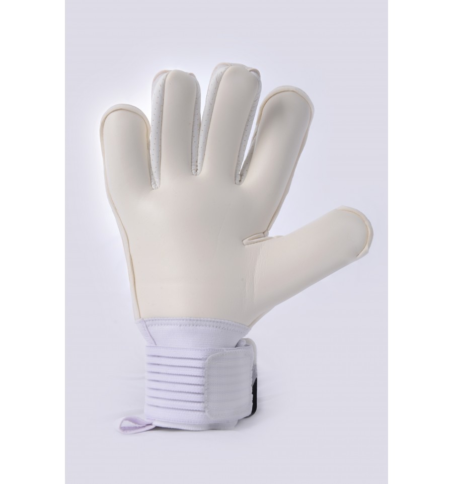 AVERSA 2015 - imagine 2