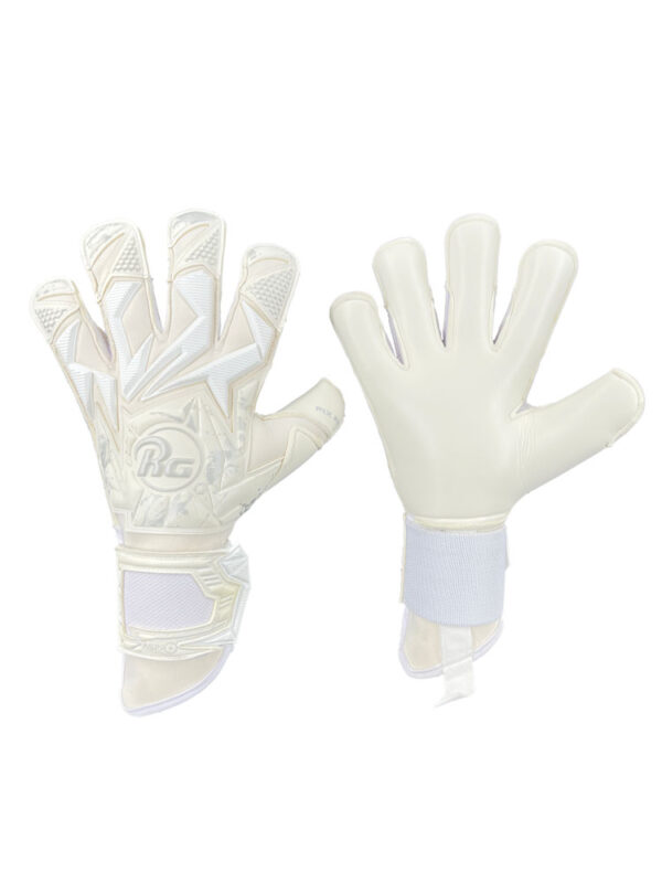 RG Aspro 2022 - imagine 4