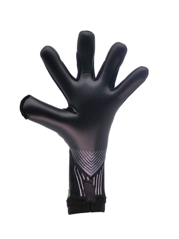 RG BIONIX 2023-2024 - imagine 5