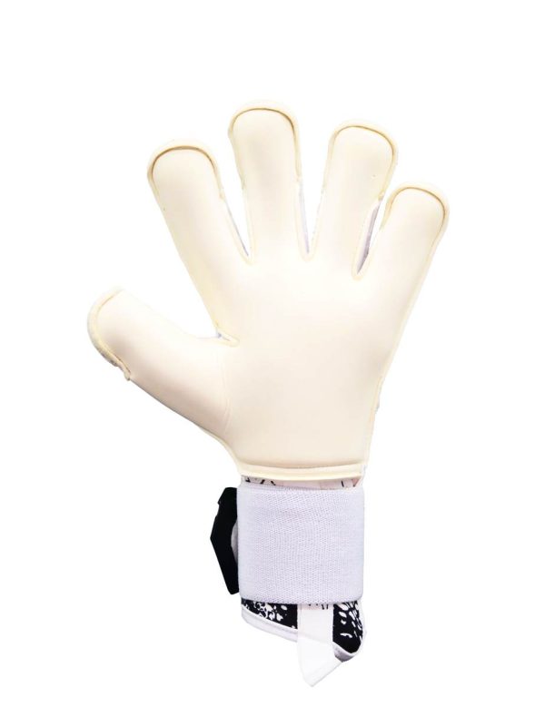 RG Aspro 2024-2025 - imagine 5