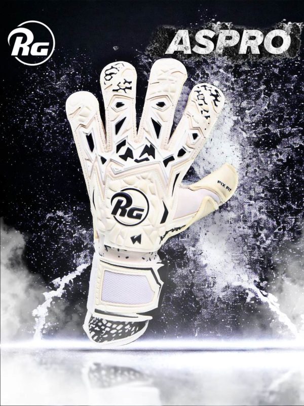 RG Aspro 2024-2025 - imagine 6