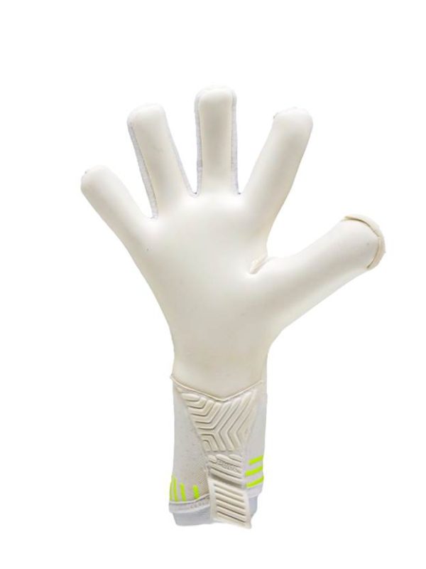 RG AVERSA 2024 - 2025 - imagine 3