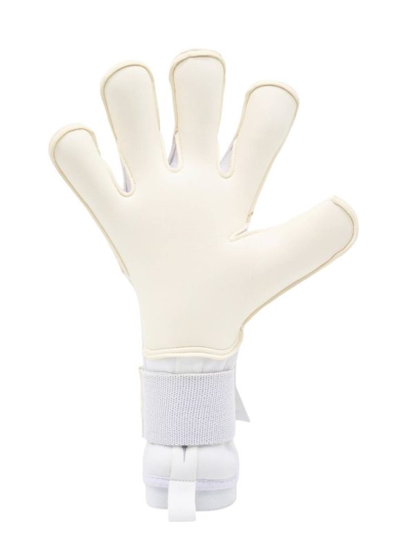 RG Aspro 2025–2026 - imagine 4