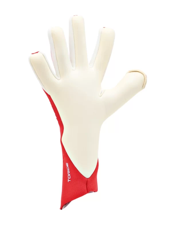 RG Toride 2025 - 2026 - imagine 16
